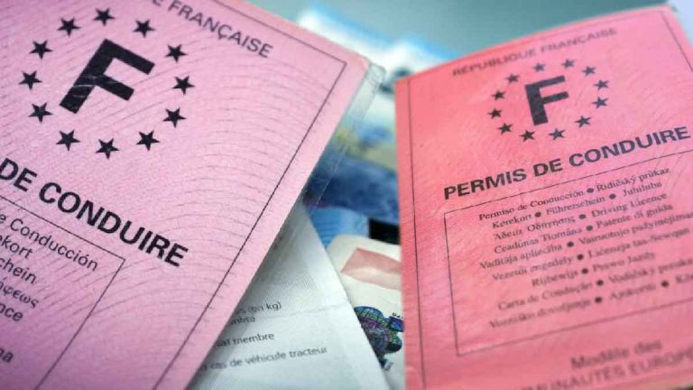 Obtenir une carte grise avec la mention "véhicule-école" : ce qu'il faut savoir.